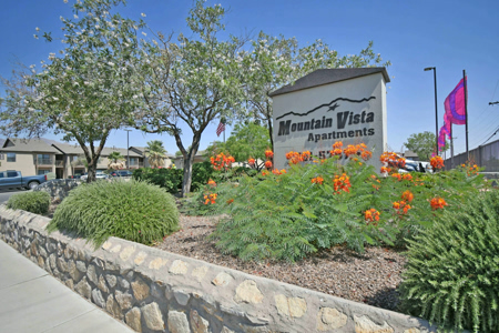 Mountain-Vista 002